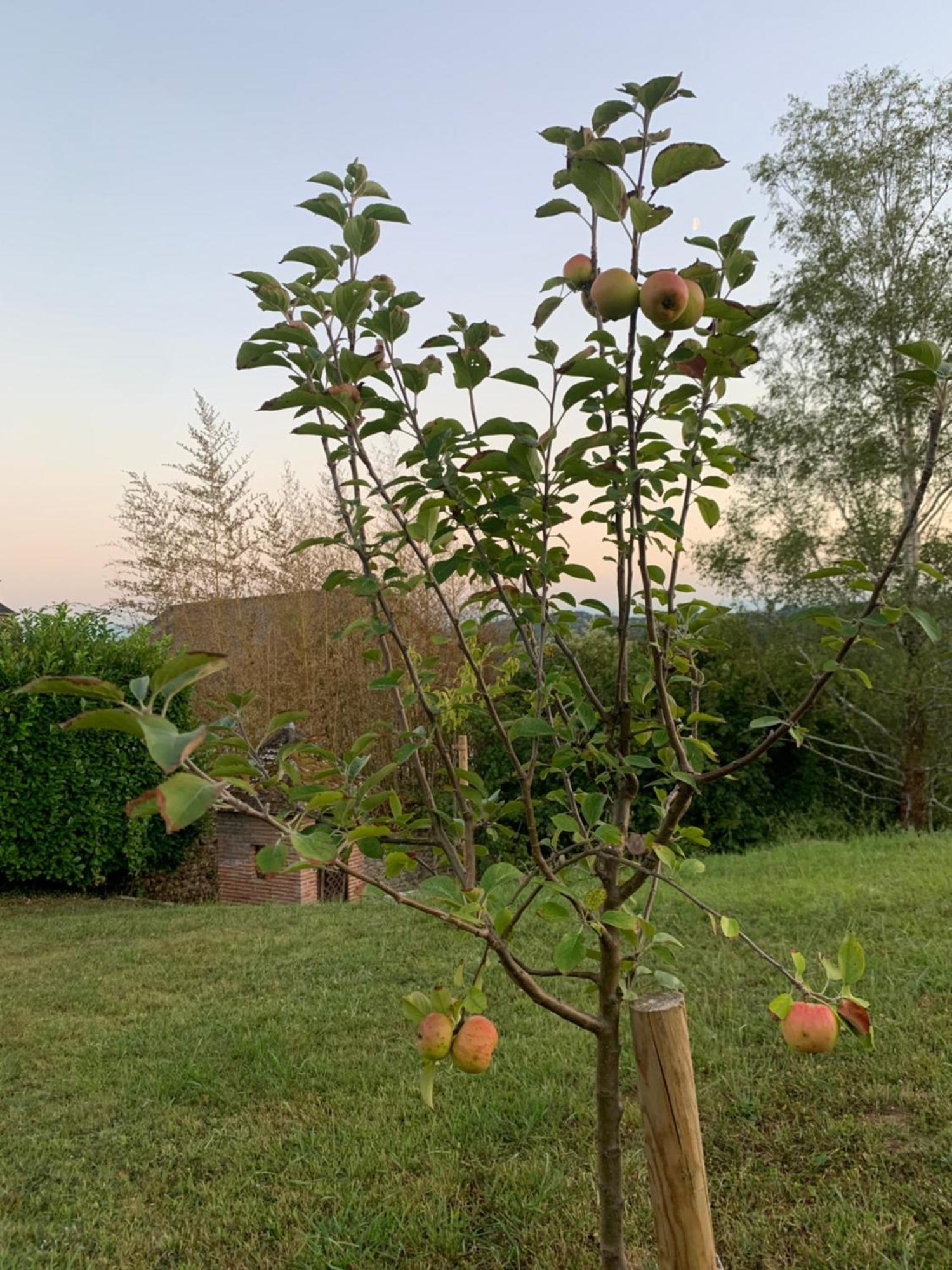 Bed and Breakfast La Poesie Lagor Esterno foto