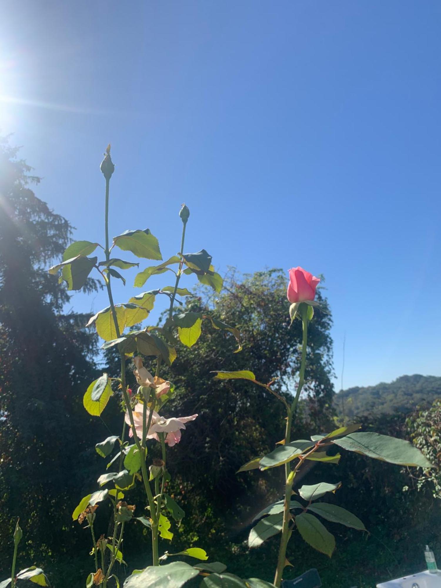 Bed and Breakfast La Poesie Lagor Esterno foto
