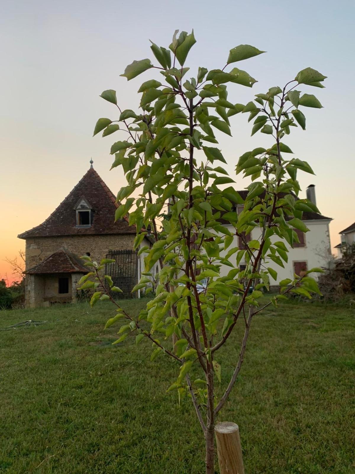 Bed and Breakfast La Poesie Lagor Esterno foto
